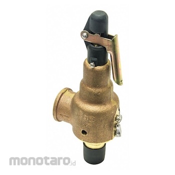 KUNKLE VALVE Relief Valves 6010EDM01KM200 Bronze MNPT Safety 3/4In X1In 200 Psi