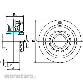 main product photo