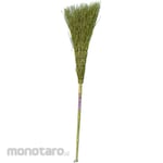 DENZO Sapu Lidi (Bamboo Broom)