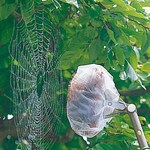Azuma Kogyo Spider Web H LL594