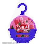 DAHLIA Kamper Gantung Basket Hanger