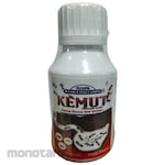 KEMUT Racun Kecoa dan Semut