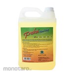 FRESHA Sabun Cuci Tangan Lemon 5000ml 1pc