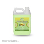 Quizy Sabun Cuci Tangan Melon Fruity 5L 1pc