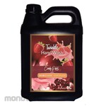 Twinkle Sabun Cuci Tangan Jerigen