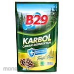 B29 Floor Detergent