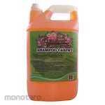 Cleantex Shampoo Carpet