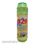 B29 Cleaning Powder (Bubuk Pembersih)