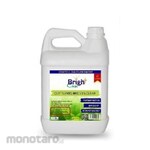 Bright Clean Cuttleries Chafing Dish Cleaner
