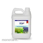 Bright Clean Pembersih & Pengkilat Perak