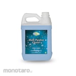 Quizy Multipurpose Cleaner