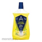 Astonish Pembersih Lantai Formula Anti Noda Citrus Burst