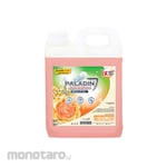 Paladin Deterjen Royal Flora