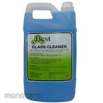 BESTKP Glass Cleaner