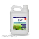 Bright Clean Lenza Pembersih Kaca dan Cermin