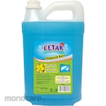 CETAR Pembersih Kaca