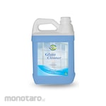 Quizy Liquid Glass Cleaner