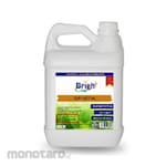 Bright Clean Sun Metal Pembersih dan Pengkilap Metal