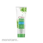 CITRA Green Tea Carnaton Facial Foam