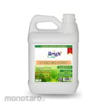 Bright Clean Bubuk Pengkilap Lantai Marmer
