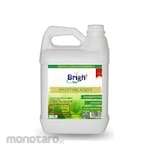 Bright Clean Pembersih Karpet Spotting Agent