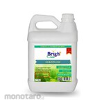Bright Clean Quickflow-Drain Opener Preventive and Channel Opener (Cairan Pembersih Saluran Pipa)