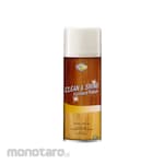 Quizy Aerosol Clean and Shine