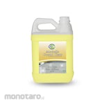 Quizy Marbella Clean