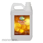 Quizy Metal Rush Cleaner