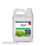 Bright Clean Machine Scale Remover