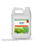 Bright Clean Melamine/Plastic Stain Remover