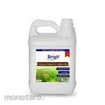 Bright Clean Tea and Coffee Spot Remover