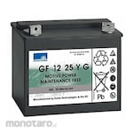 TASKI Battery 12V 25Ah