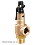 AQUATROL Safety Valve