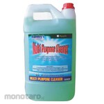 RAMDAYS Cairan Pembersih Serbaguna