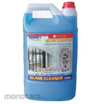 RAMDAYS Glass Cleaner