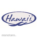 Hawaii Sapu Garuk Gagang Metal