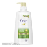 DOVE Shampoo Biotin Perawatan Rontok