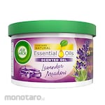 Air Wick Pengharum Ruangan Gel