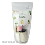 Kimia Market Lilin Aromaterapi Kaktus DIY