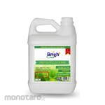 Bright Clean Fruits and Vegetable Cleaner