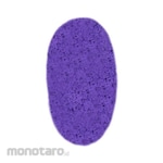 Proclean Sponge Pembersih Oval