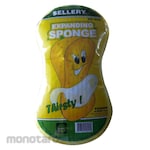 Sellery Washing Sponge
