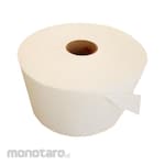 SABER Wipes Fact Sheet