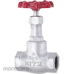Kitz 10K General Purpose Disposable Glove Valve (10SD Series)