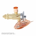 Rheem Thermostatic Expansion Valves