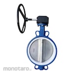 Braco Butterfly Valve Wafer Type Gear Opt PTFE (Katup Kupu-Kupu)