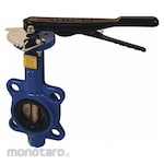 DIXON VALVE COUPLING Wafer Butterfly Valve SS Disc