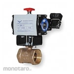 MILWAUKEE VALVE Pneumatically Actuated Butterfly Valve (Katup Kupu-Kupu)