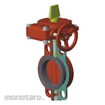 Weflo Butterfly Valve Class 300 FL ANSI150